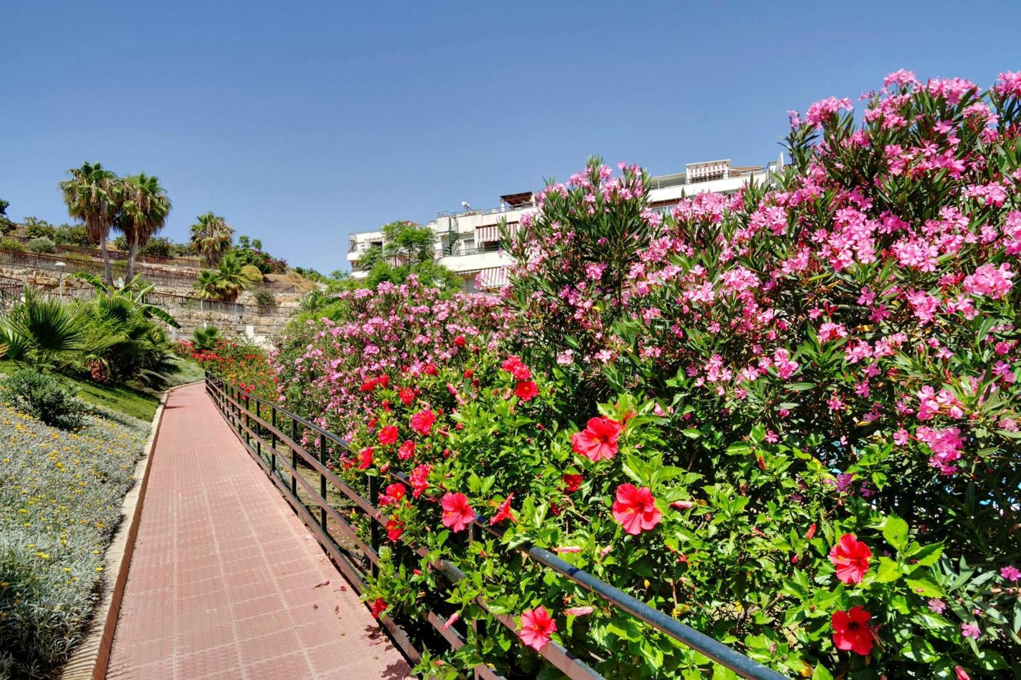 Appartement Del Parque Flats - Golf & Terrace *